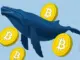 Coinpedia - Fintech & Cryptocurreny News Media