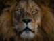 Bitcoin ETFs On Pace For Explosive 600% Growth