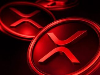 XRP ETFs post first day of outflows since November launch
