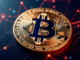 While Bitcoin's market Crashes, Theo4 Is Quietly Dominating Polymarket