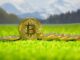 Bitcoin At The Bottom? The 23-Month Cycle That Has Never Failed