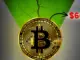 Coinpedia - Fintech & Cryptocurreny News Media