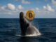 Bitcoin whale awakens after 14 years, sitting on $148 million windfall