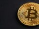 Elon Musk animates Bitcoin waifu after viral fan art request