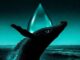 Hyperliquid trader goes all in on oil and gets liquidated in under 40 minutes