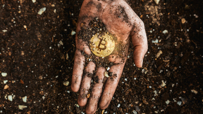 Is Bitcoin Price Bottom In? MVRV Z-Score Says 'Not Yet'