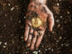 Is Bitcoin Price Bottom In? MVRV Z-Score Says 'Not Yet'