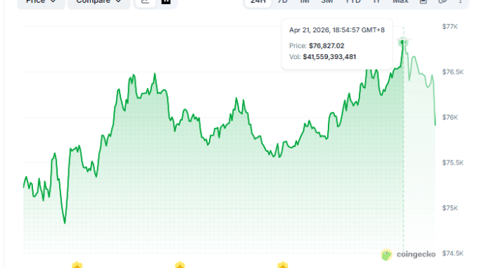 Is Bitcoin Riding the Ceasefire Rally Wave?