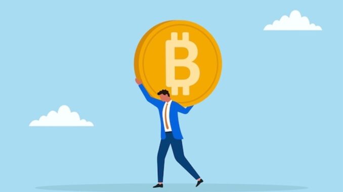 Bitcoin Register Record 15.8M Long-Term Holders Amid Price Decline