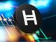 Hedera coin price is up 10% today
