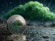 why the RAIN coin price is rising