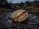 $623 Million In Bitcoin Longs Liquidated