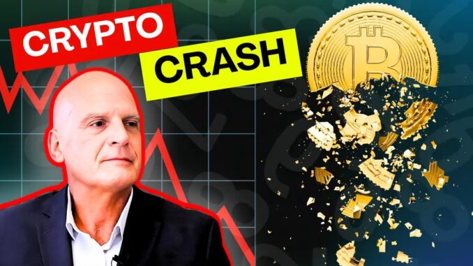 Bloomberg's McGlone Says Capital Leaving Crypto for SpaceX Is Not Coming Back: Exclusive