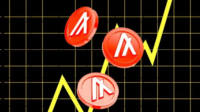 Is ALGO Setting Up for a Major Breakout From This Bottom Range?