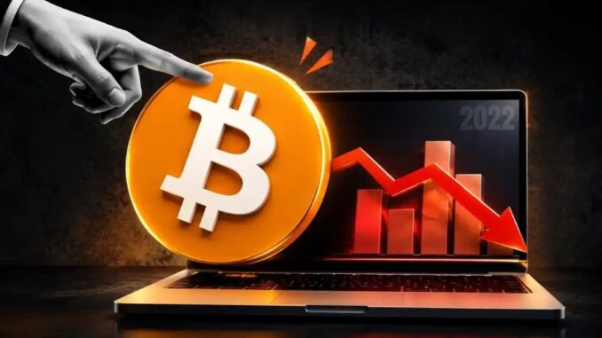 Is This a Dead Cat Bounce Before the Next Breakdown?
