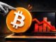 Is This a Dead Cat Bounce Before the Next Breakdown?