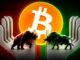 Pavel Durov's Journey with Cryptocurrency
