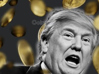Trump Crypto Empire Earns $2.3 Billion While Investors Face Heavy Losses