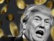 Trump Crypto Empire Earns $2.3 Billion While Investors Face Heavy Losses