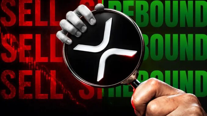 XRP Price Prediction For June 13