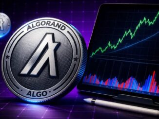 ALGO Price Risks Drop to $0.05 Despite Strong On-Chain Growth