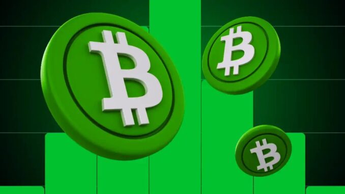 Bitcoin Cash Outpaces Bitcoin and Ethereum as Altcoin Rally Gains Steam