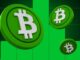 Bitcoin Cash Outpaces Bitcoin and Ethereum as Altcoin Rally Gains Steam