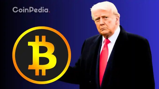 Bitcoin, Ethereum and XRP Prices Fall After Trump's Speech Today