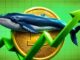 Bitcoin Indicators Flag Best Entry Point for Long-Term Investors