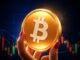 Bitcoin Price Today – July 10th
