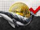 Bitcoin Whales Defy Volatility, Quietly Accumulate BTC at 17% Discount