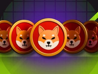 Can Shiba Inu Price Recover as SHIB Burn Rate Surges?