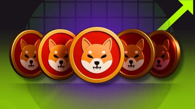 Can Shiba Inu Price Recover as SHIB Burn Rate Surges?