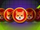 Can Shiba Inu Price Recover as SHIB Burn Rate Surges?