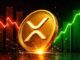 Here's Why XRP May Not Rally Until 2028