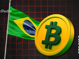IMF Warns Brazil’s Stablecoin Boom Could Shake Its Economy