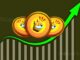 PEPE and BONK Lead the Crypto Rally