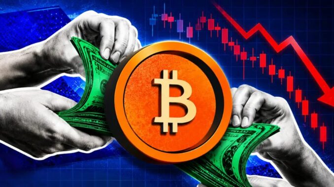 Public Companies Now Hold Over 1.26M Bitcoin