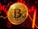 Signal With a 70% Win Rate Flashes as BTC Approaches $67,000