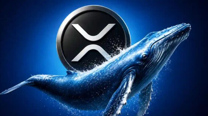 Spot XRP ETFs Record Largest Outflow Since March