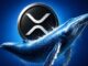 Spot XRP ETFs Record Largest Outflow Since March