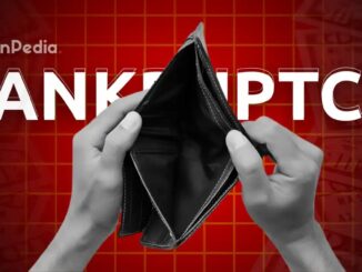 Storj Chapter 11 Bankruptcy Details Explained
