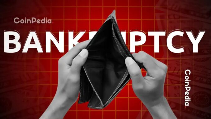 Storj Chapter 11 Bankruptcy Details Explained