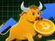 The Next Crypto Bull Run Will Be Slower, BitGo CEO Explains