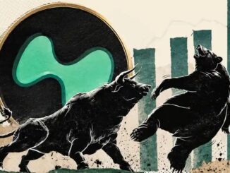 Understanding the Latest Price Trends