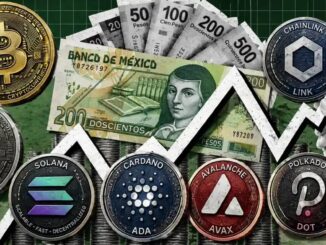What Comes After This Bear Market