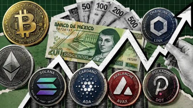 What Comes After This Bear Market