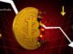 Why is Crypto Market Going Down Today?