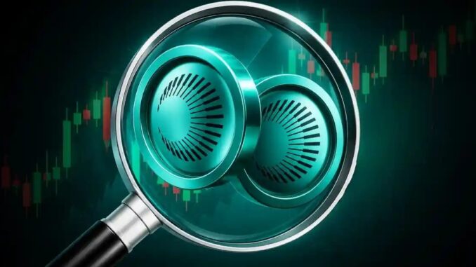 XPL Price Jumps 21% as Plasma Activity Explodes