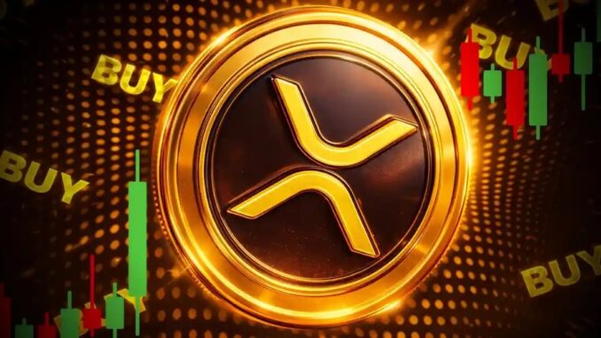 XRP USD Funding Rates Turn Deeply Bearish After 70% Price Drop